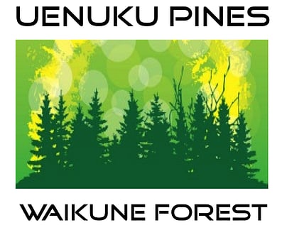 Uenuku Pines Pass