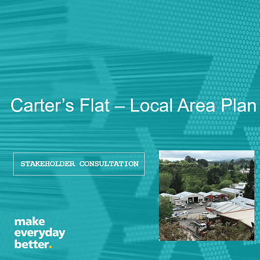 A plan change will review the zoning of two commercial areas in Cambridge