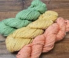 Elite knitting yarn available at Tauranga Knitting Centre