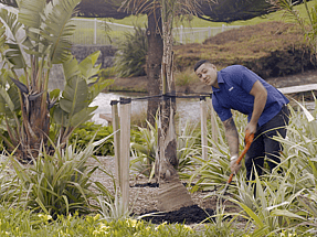 Fisher & Paykel Healthcare