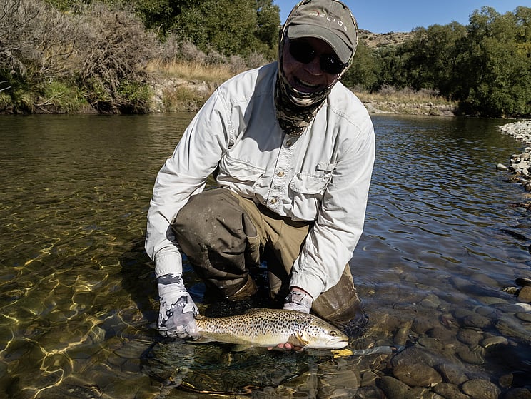 NZ tourism, adventure, Backcountry, explore, Todd Adolph, NZ, New Zealand, Brown Trout, flyfishing, otago, southland, south Island, Fishing Guide, fishing fluefiske, flugfiske