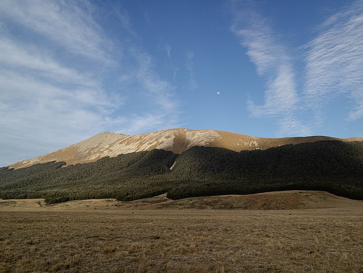 NZ tourism, adventure, Backcountry, explore, Todd Adolph, NZ, New Zealand, Brown Trout, flyfishing, otago, southland, south Island, Fishing Guide, fishing fluefiske, flugfiske