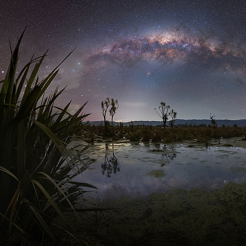 Boggy Pond at night, Night & Light Photography
