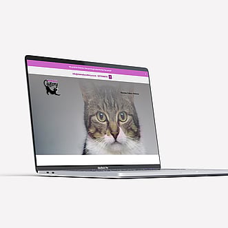 Website Design for Mamaku Cattery by Page Design Ltd
