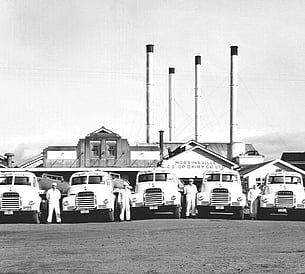 Dairying exhibition at Morrinsville Museum