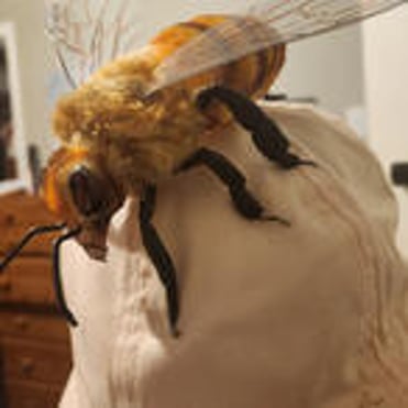 Fabric bee on top of hat