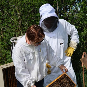 Sarah C and a hobby beekeeper