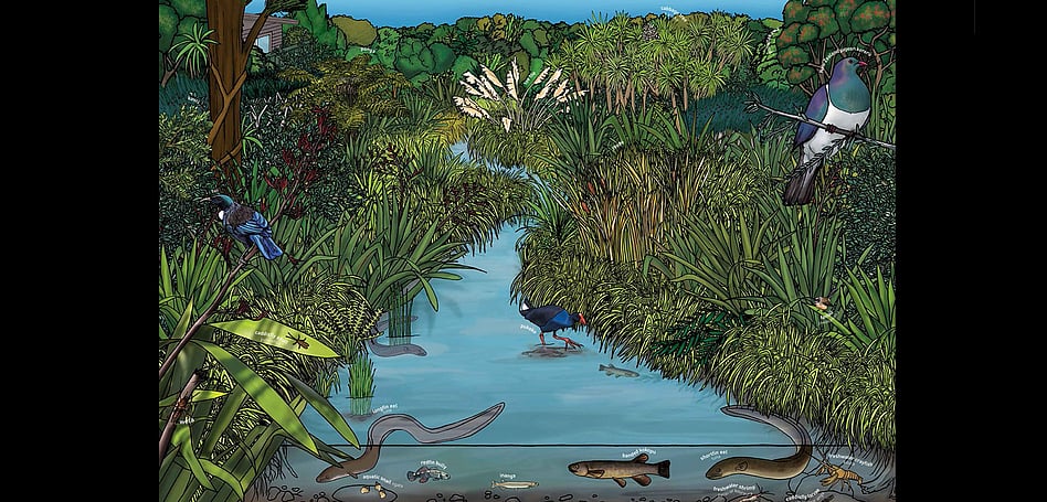 AUCKLAND CITY COUNCIL - STREAM ILLUSTRATION PLAQUE