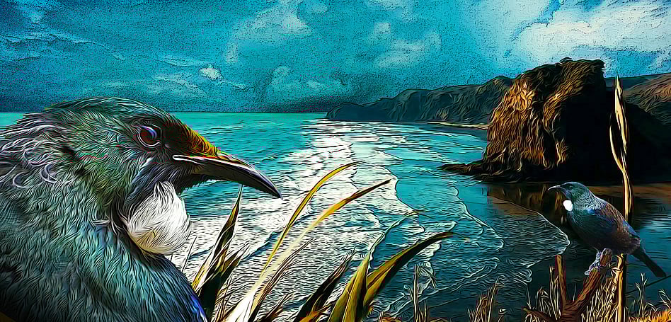PIHA OVERTURE - NZ ART SERIES