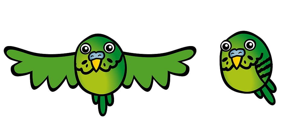 BUDGIE POWER - LOGO ILLUSTRATION