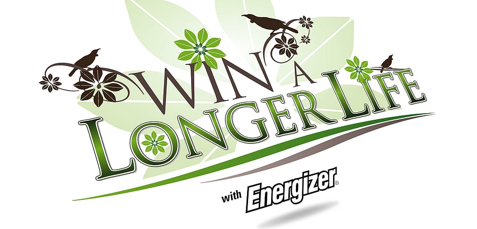 ENERGIZER - COMPETITION DESIGN