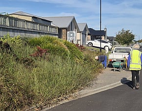 Ruru Street Cambridge