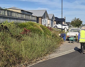 Ruru Street Cambridge