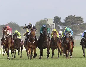 Castle Rock Breaks Through at Pukekohe