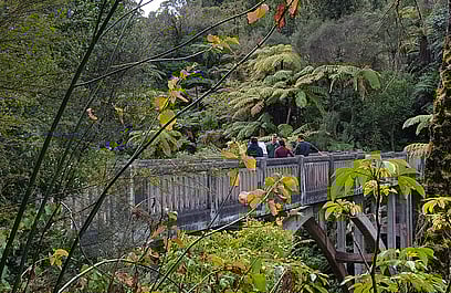 The Onedayer Adventure Jet Boat & Canoe Tour