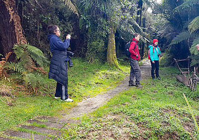 Matemateaonga Track Tramp