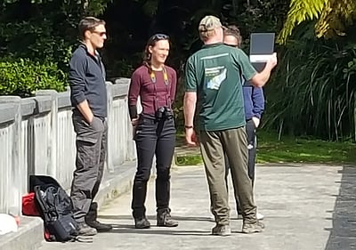 Matemateaonga Track Tramp