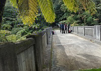 Matemateaonga Track Tramp