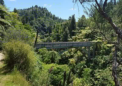 Matemateaonga Track Tramp