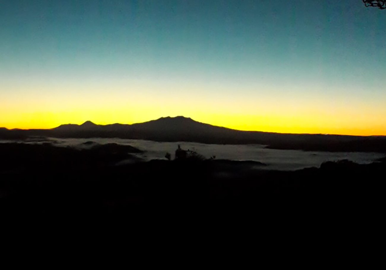 Matemateaonga Track Tramp