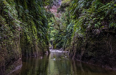 Traveller with Little Time Canoe Tour
