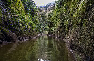 Traveller with Little Time Canoe Tour