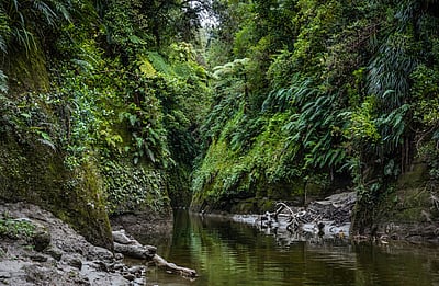 Traveller with Little Time Canoe Tour
