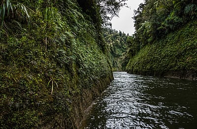 Traveller with Little Time Canoe Tour