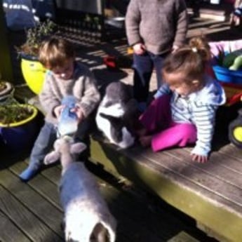 Sprouts Waipukurau children feed lamb