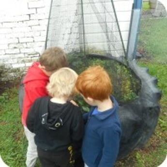 kids interested in their find