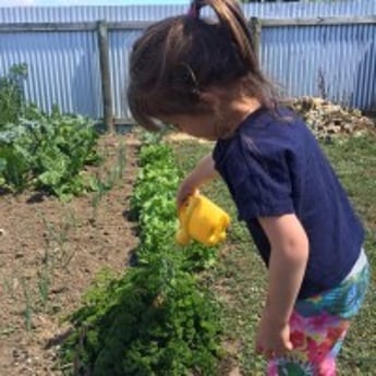 child waters plants