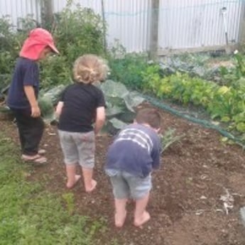 Kids gardening