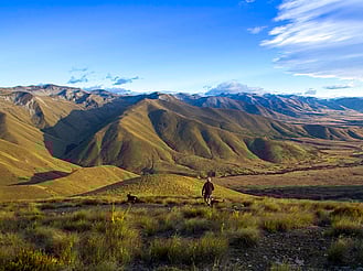 Mackenzie Basin high-country landscape at Omahau Hill Station