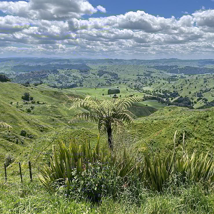 King Country Farm Land