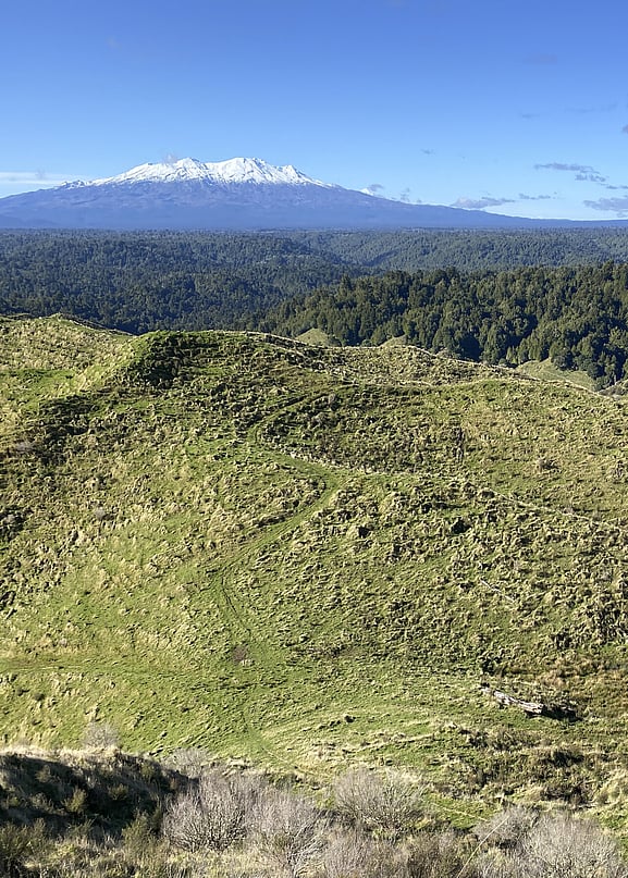 King Country New Zealand