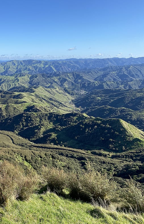 Rural Valuation King Country NZ