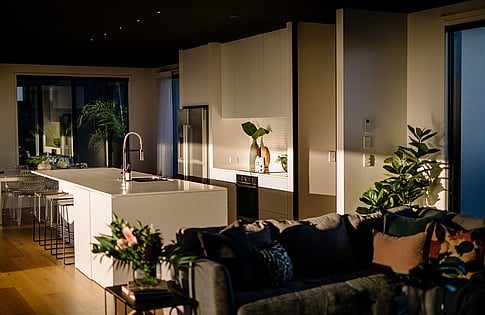 mid century modern house designers cambridge, hamilton, waihi beach & mount maunganui