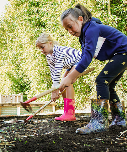 Everything you need to know for your child's school experience