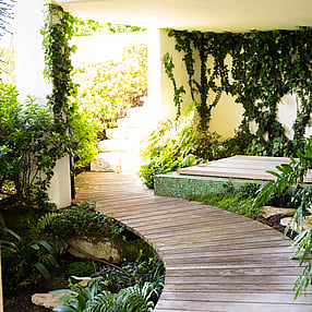 Path through the oasis