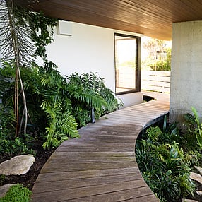 Path through the oasis