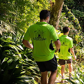 Team walking through a sea of Clivia'ss  