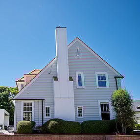 Muehlenbeckia clouds in front of Wellington home