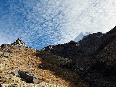 Employer-Funded Coaching