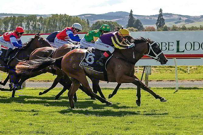 Hello Hayley winning the Listed Property Brokers &ndash; Ray Kean Dunedin Guineas (1600m) at Wingatui.  - Photo: Monica Toretto
