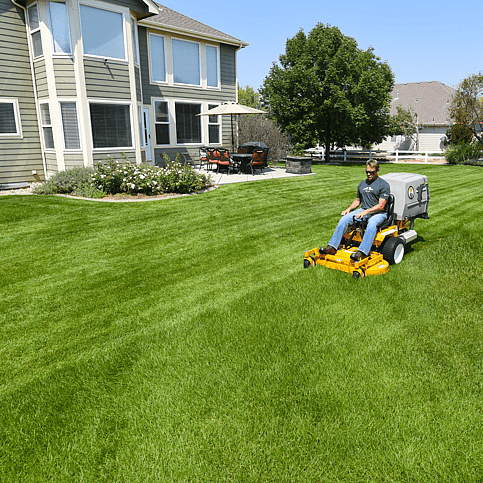 Walker front mower 