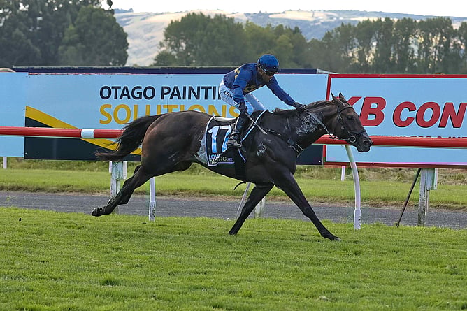 Cluedo Lane winning the Gr.3 White Robe Lodge Weight For Age (1600m). - Photo: Monica Toretto