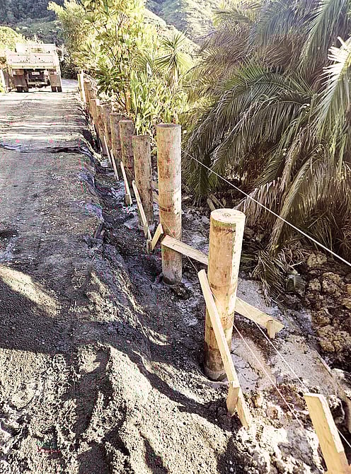 Whakamārama Bach Retaining Wall