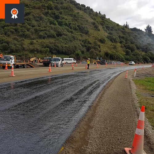 Bay of Plenty specialists