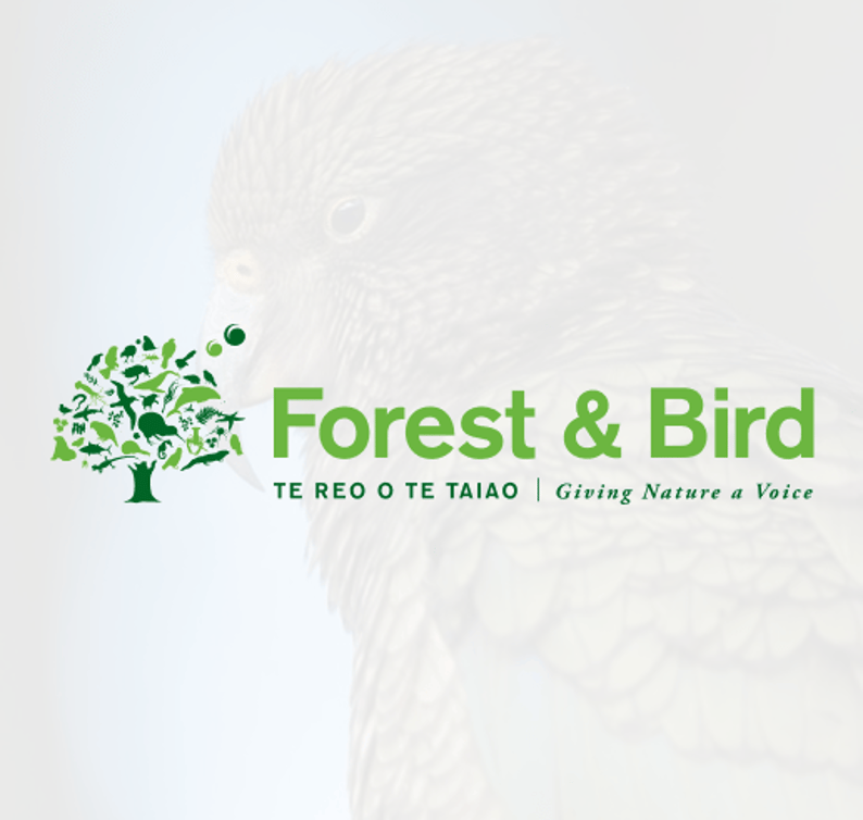 Forest & Bird New Zealand logo – protecting native wildlife and habitats