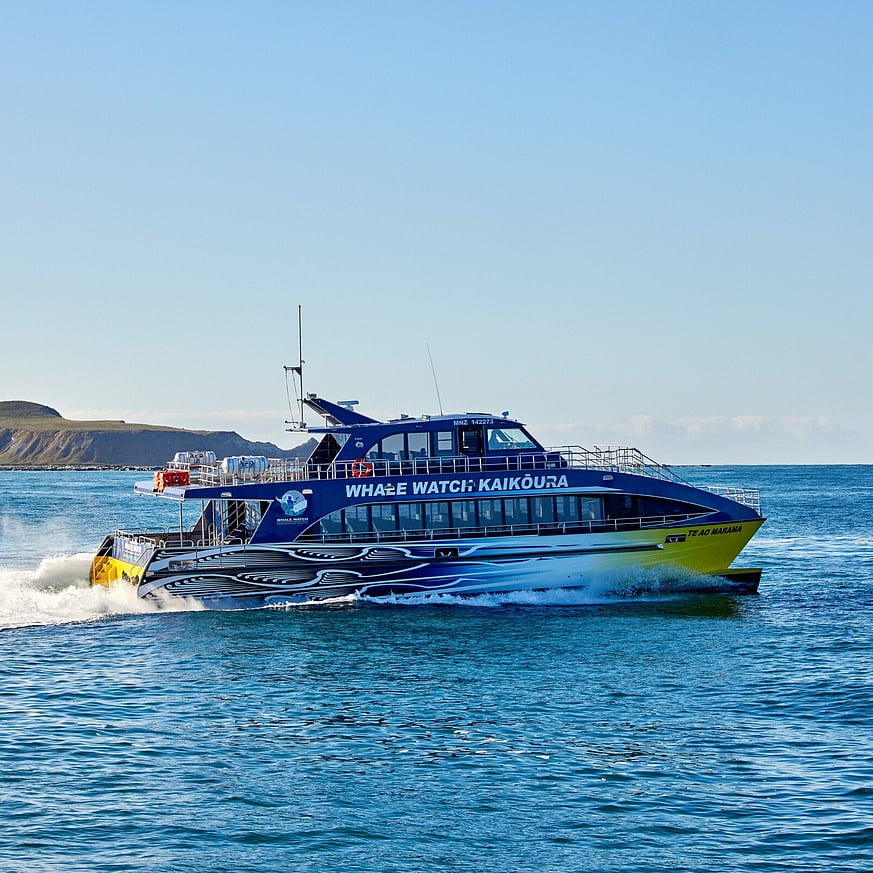 Whale watching boat in Kaikōura out at sea